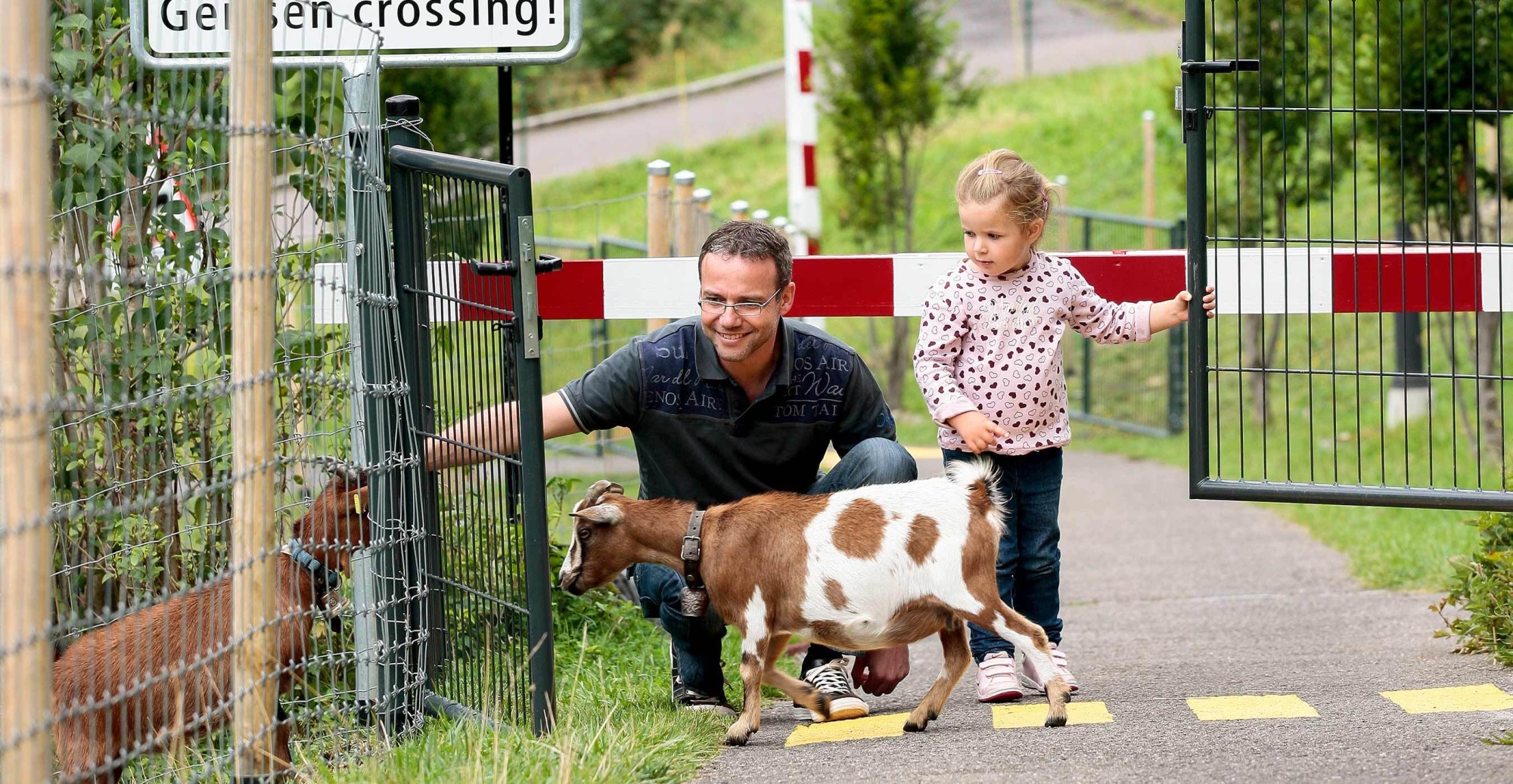 Aktivitäten